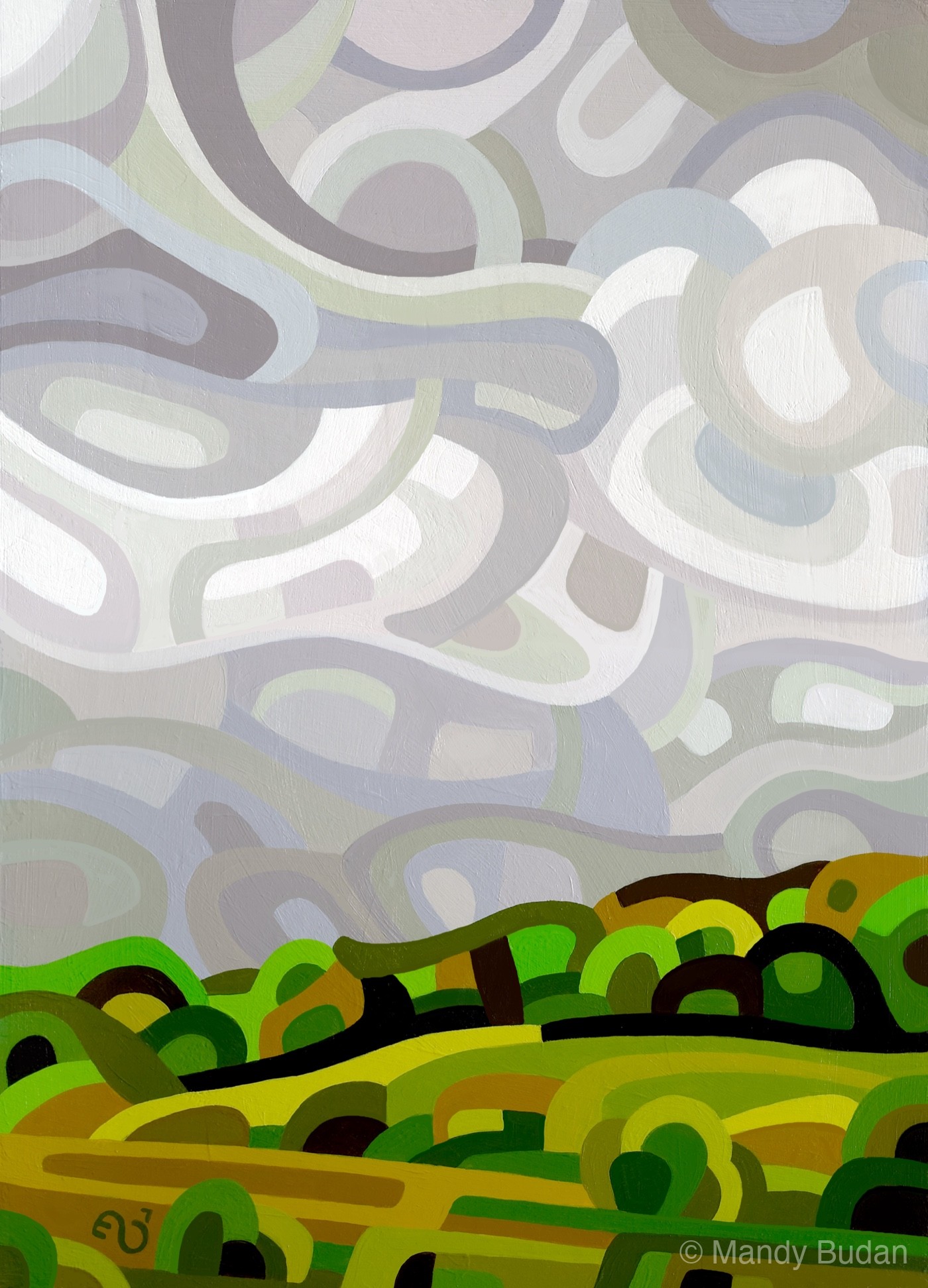 Clouds seethe and spin as a sudden storm rumbles through a summer afternoon. by Mandy Budan