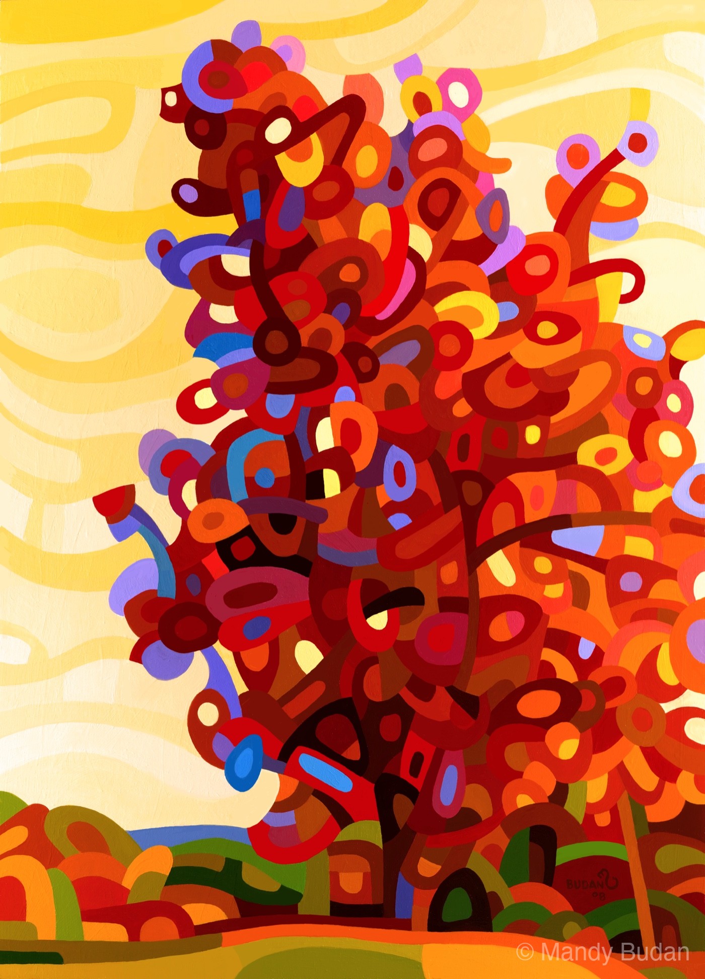 On a late summer afternoon the tree is a fiesta of reds and oranges, winter a distant blue shadow. by Mandy Budan