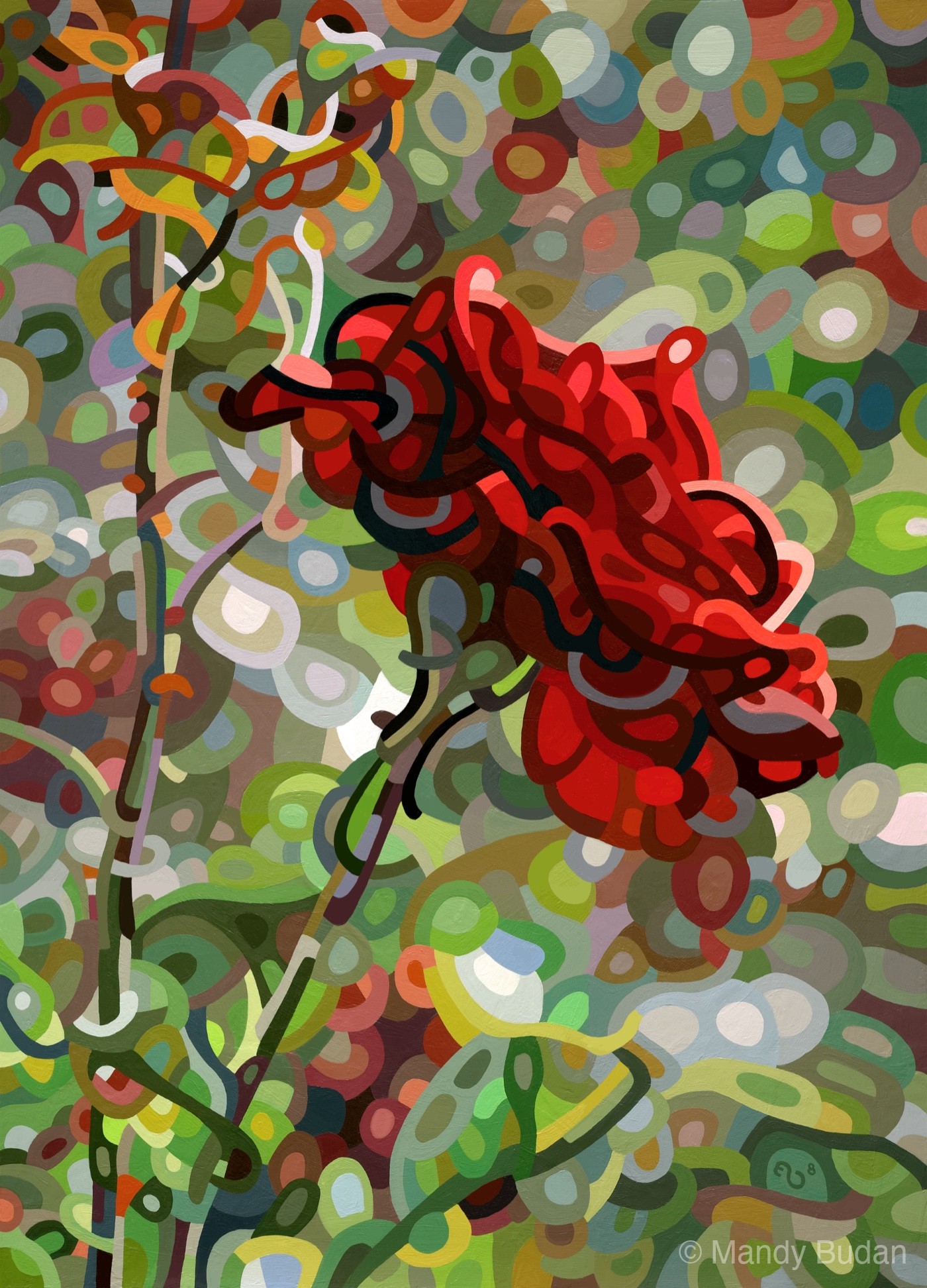 Among the faded blooms and empty stems, the last rose of summer still blooms. by Mandy Budan