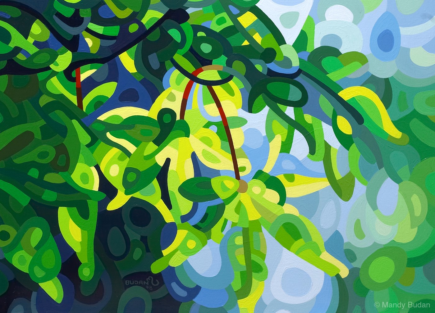The morning sun turns the early Spring leaves into patterns of light and dark. by Mandy Budan
