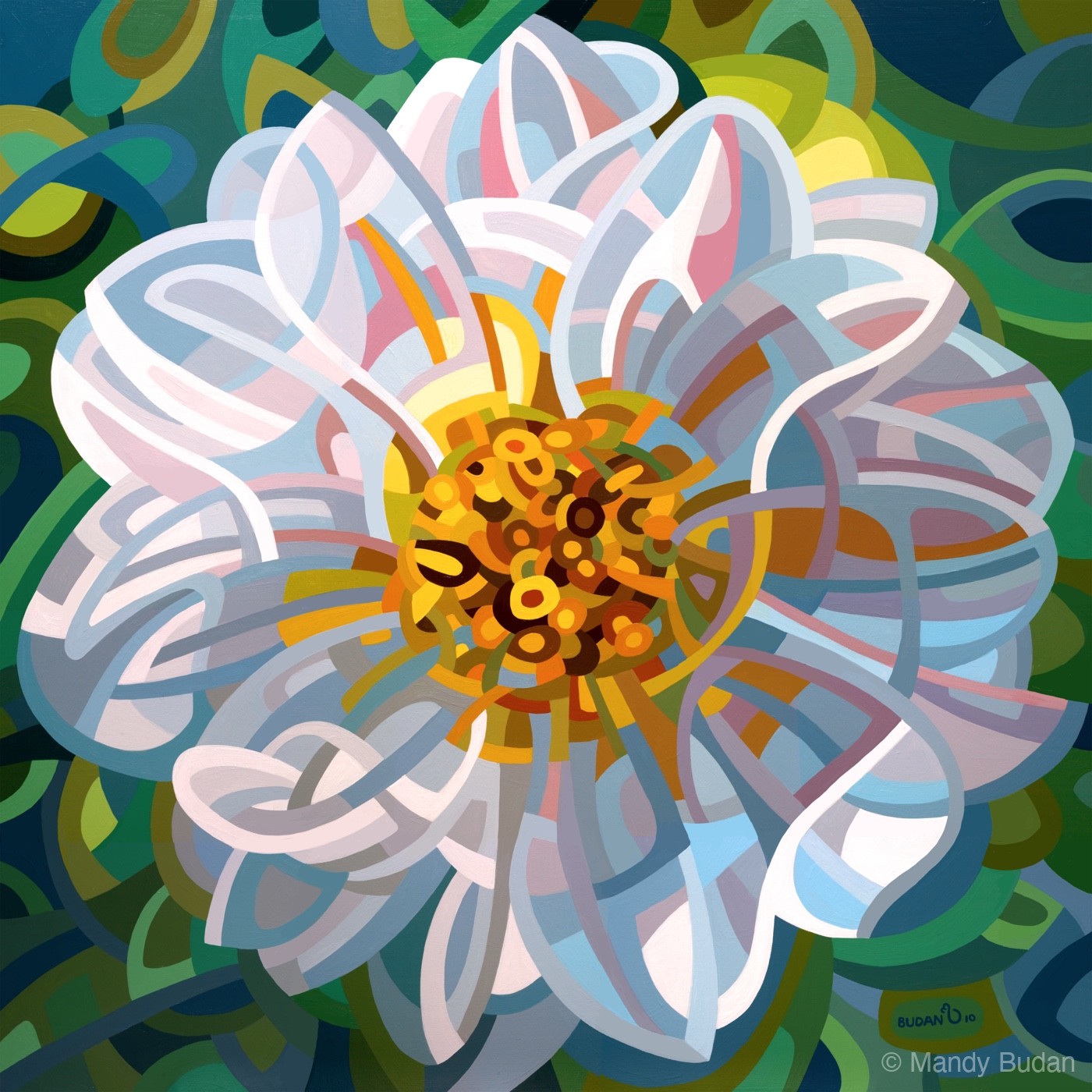 The white flower basks on the dark leaves; the sunlight traces paths along the petals while colour spills from the centre....