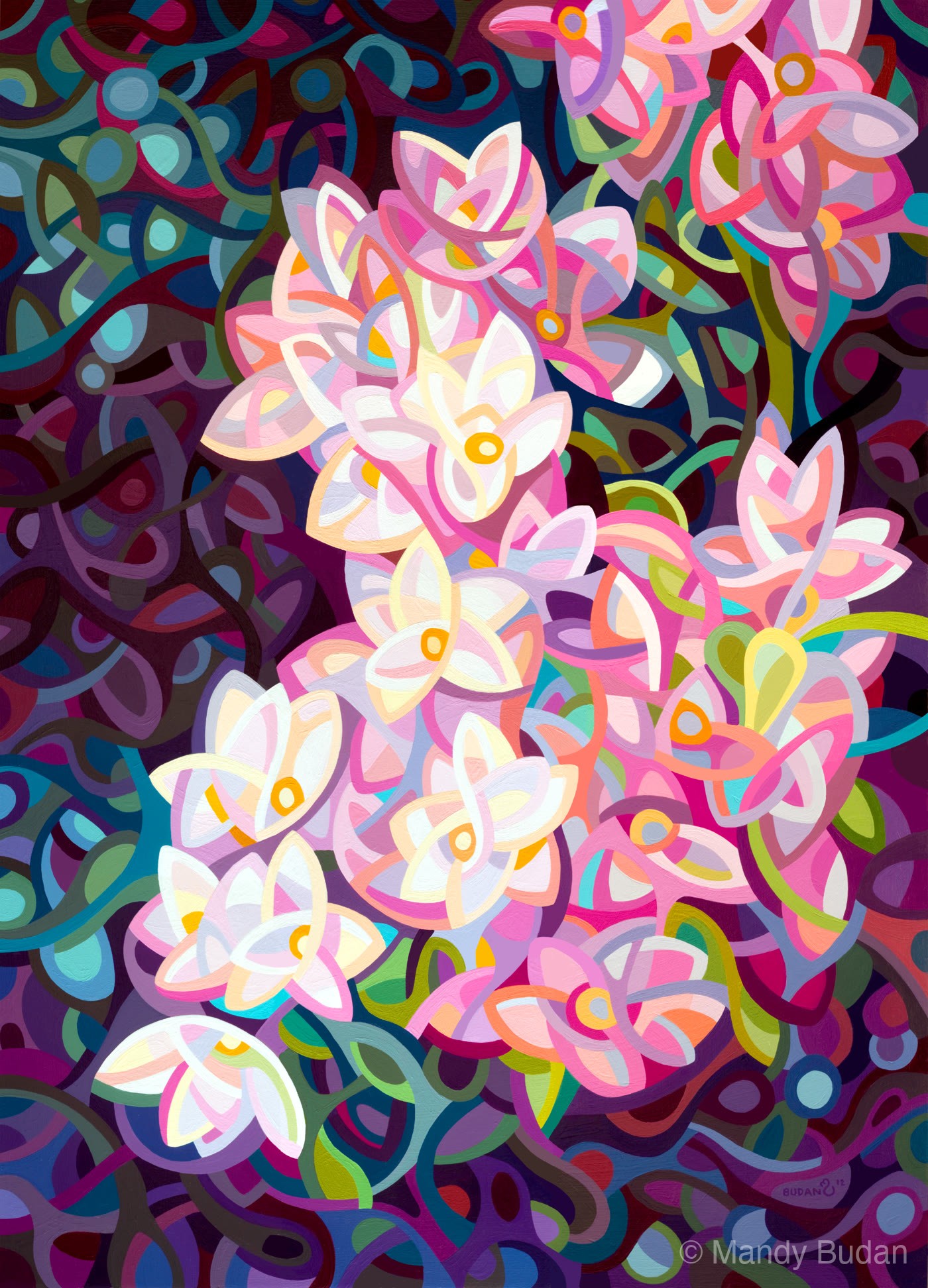 Delicate white flowers tumble down their branch seeking infrequent pools of sunlight. by Mandy Budan