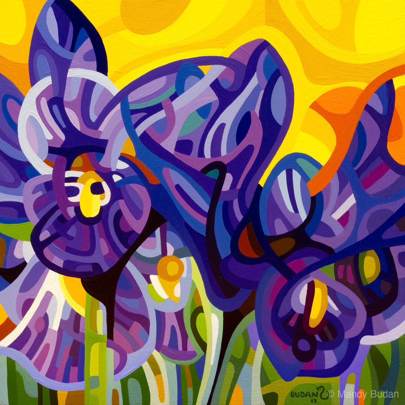A troop of irises rests on a field of summer yellow. by Mandy Budan