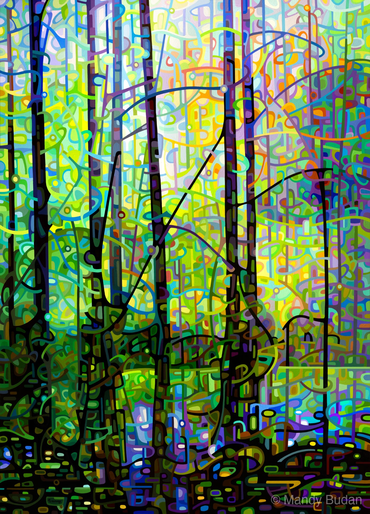 A quiet forest pool playing hide and seek with the spring morning. by Mandy Budan