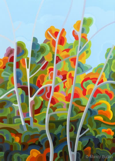 Waterloo Fall