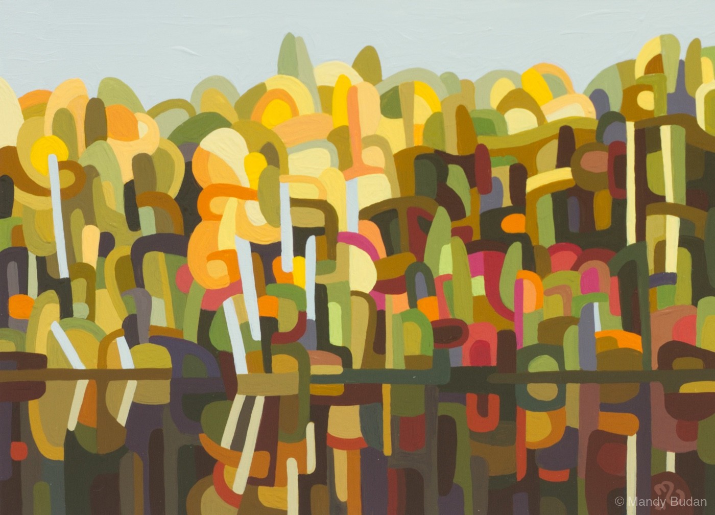 Study 163 by Mandy Budan