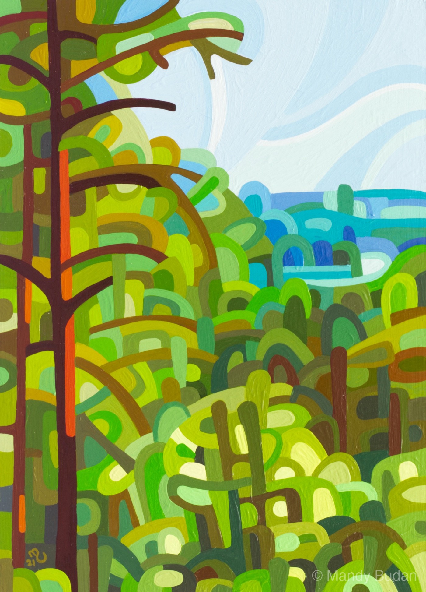 Landscape Study 164 by Mandy Budan